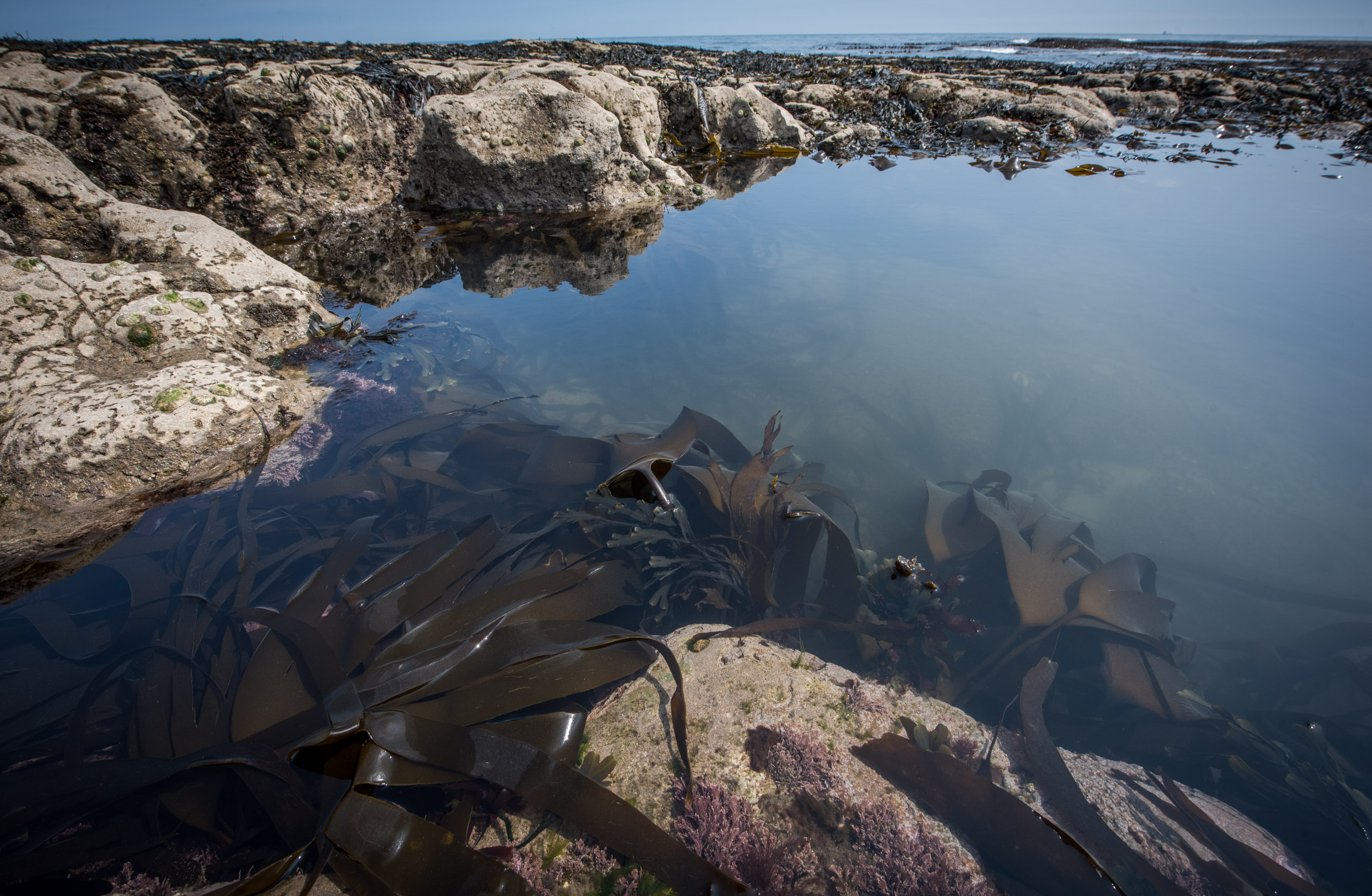 Listening@Souter_GJmr-7020