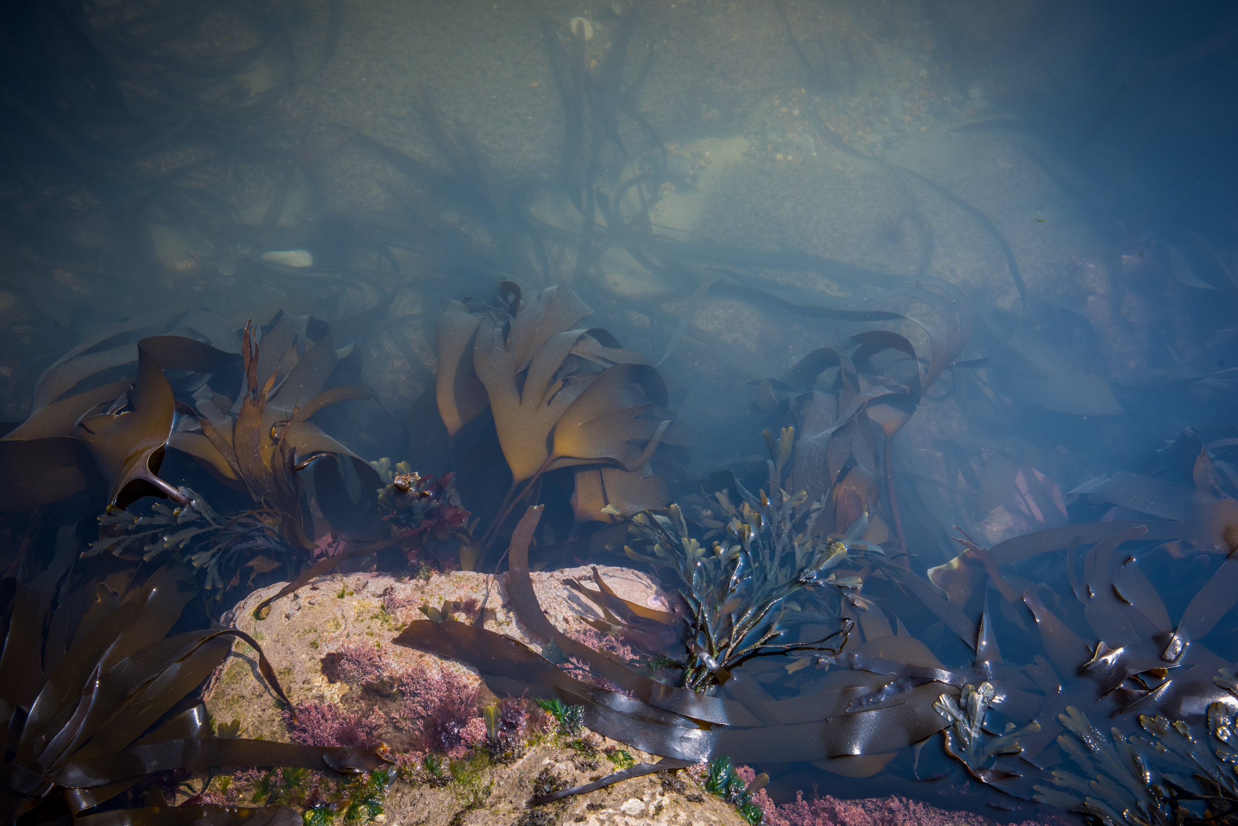 Listening@Souter_GJmr-7023